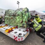 Jalisco avanza en exportación