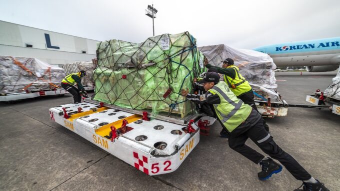 Jalisco avanza en exportación
