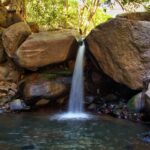 Sierra de Quila cerrará como medida de prevención ante incendios.