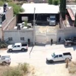 Cateo en Teocaltiche