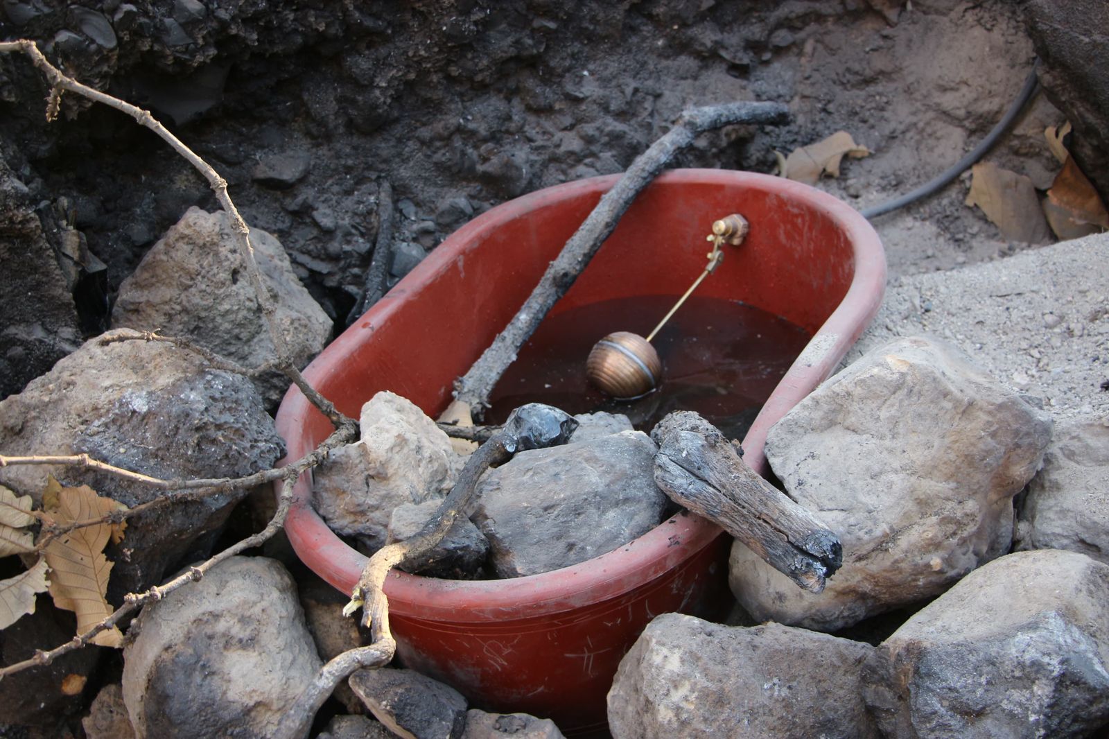 Oasis en La Primavera