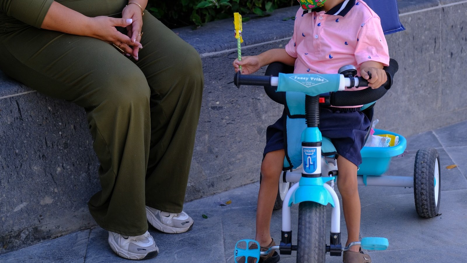 Donación de órganos