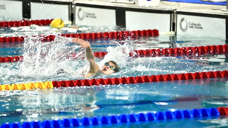 Serie Mundial de Para Natación