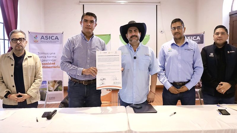 Atacan plaga en Tapalpa