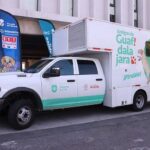 Esterilización canina