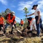 Reforestación en Tlajomulco como parte de la campaña Sembrando Paz.