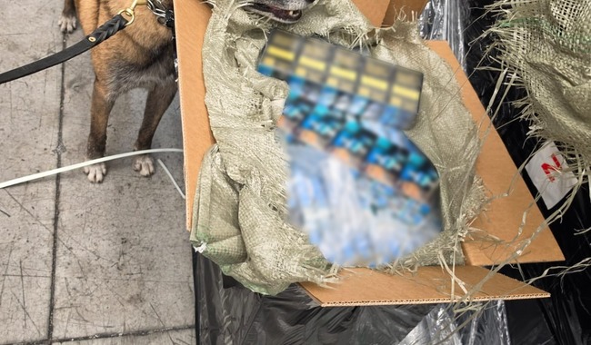 Cigarros decomisados en el AICM.