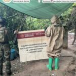 Aseguran metanfetaminas en Sinaloa.