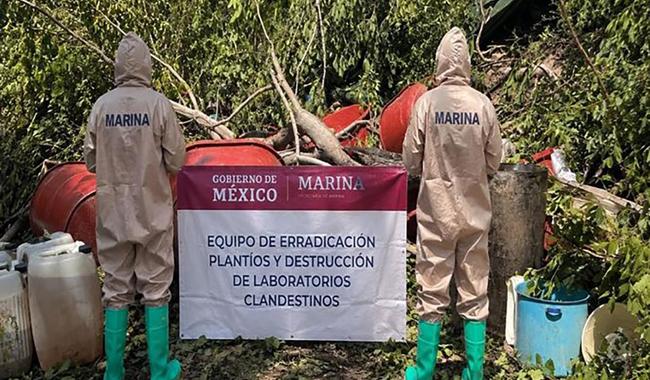 Operativo en Nayarit y Sinaloa
