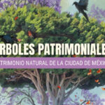árboles patrimoniales