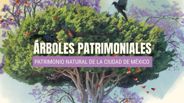 árboles patrimoniales
